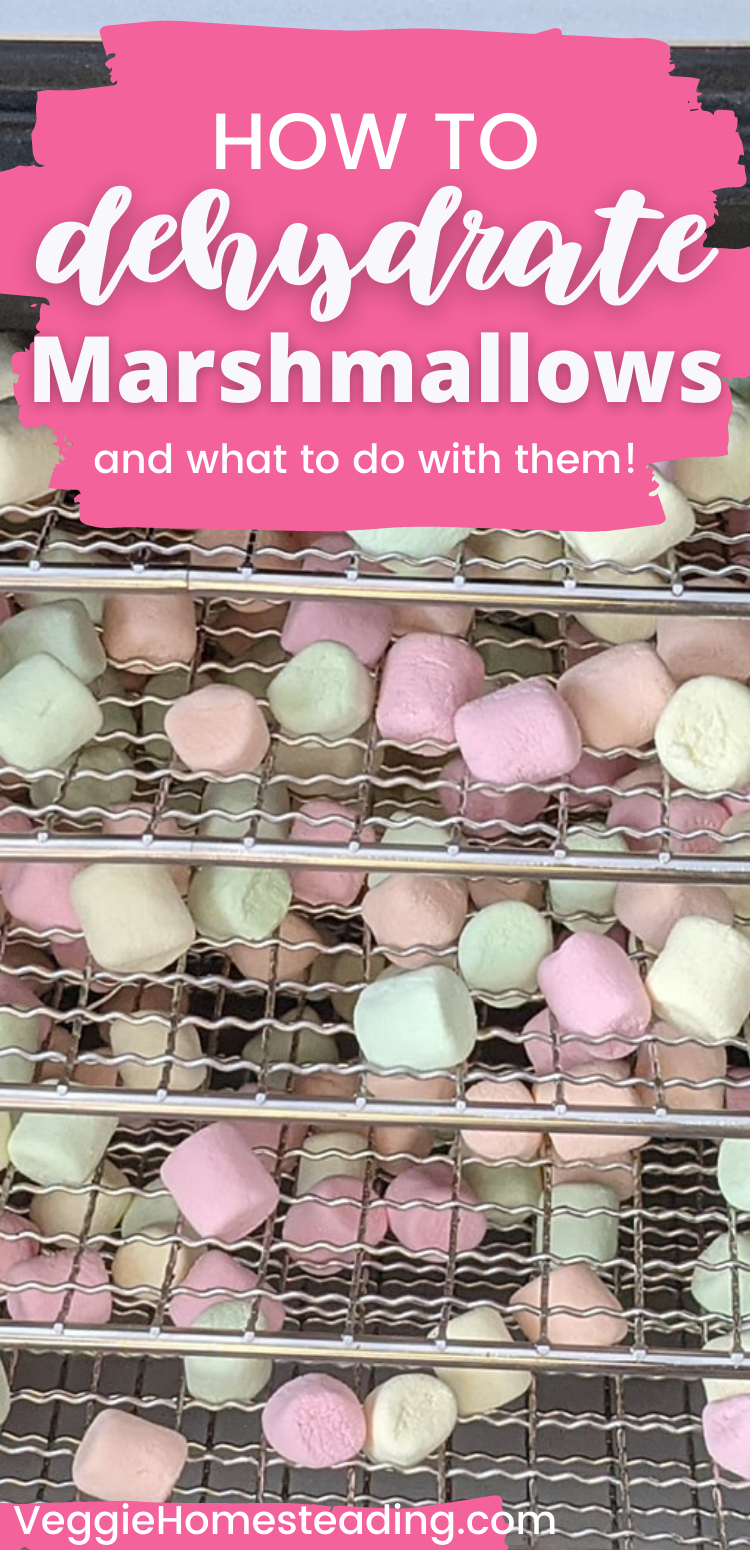 https://www.veggiehomesteading.com/wp-content/uploads/2021/11/How-to-Dehydrate-Marshmallows-What-to-do-with-them.png