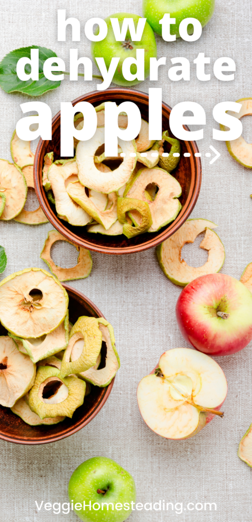 How to Dehydrate Apples: Step-by-Step Guide to Dehydrating Apples