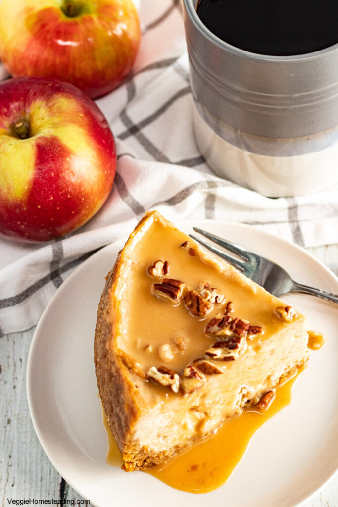 Side view of a cheesecake slice, showcasing layers of crust, spiced apple filling, and creamy cheesecake